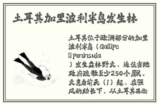 一面膜上边一面膜下边免费的